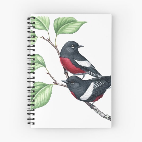 Item preview, Painted Redstart (Myioborus pictus) designed and sold by JadaFitch.