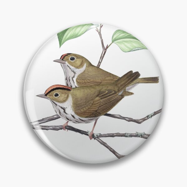 Item preview, Ovenbird (Seiurus aurocapilla) designed and sold by JadaFitch.