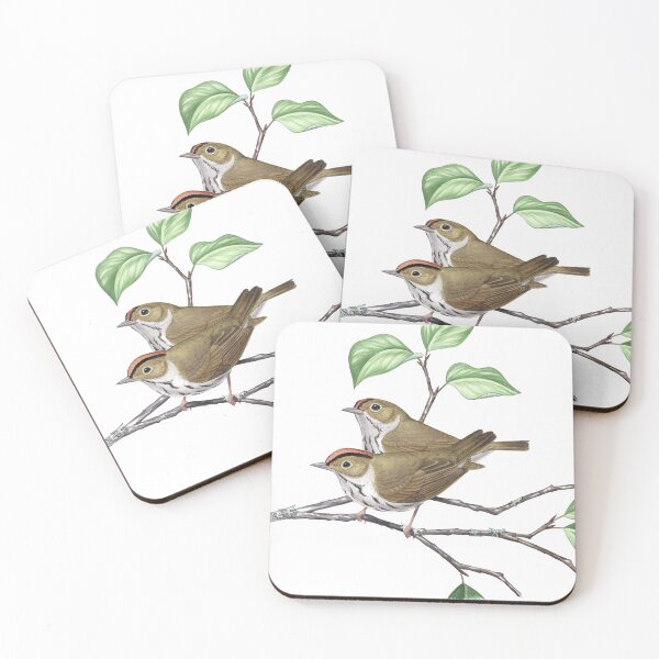 Artikelvorschau, Ofenvogel (Seiurus aurocapilla) entworfen und verkauft von JadaFitch.