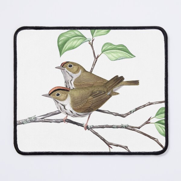 Item preview, Ovenbird (Seiurus aurocapilla) designed and sold by JadaFitch.