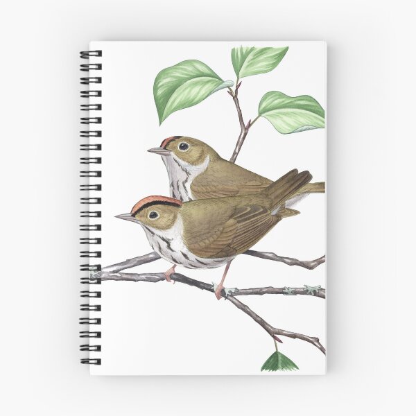 Item preview, Ovenbird (Seiurus aurocapilla) designed and sold by JadaFitch.