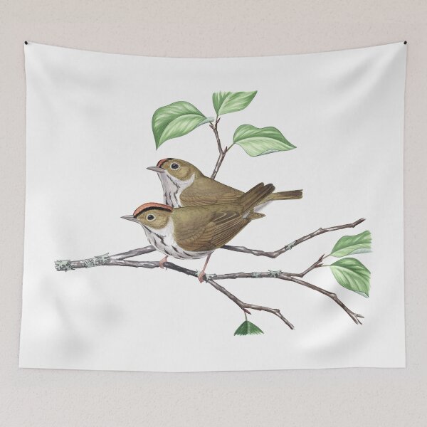 Item preview, Ovenbird (Seiurus aurocapilla) designed and sold by JadaFitch.