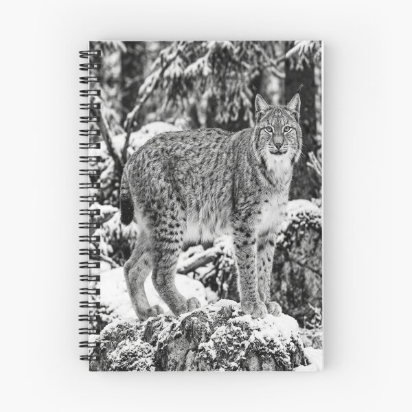Item preview, Lynx looking directly at viewer designed and sold by Solomon-Ent-144.