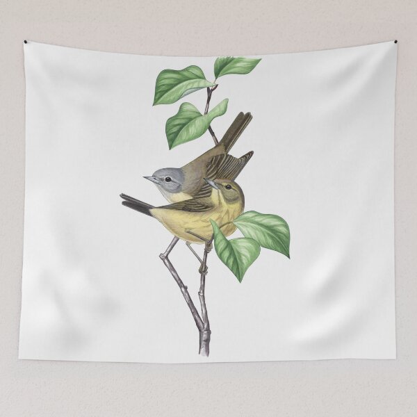 Item preview, Orange-crowned Warbler (Leiothlypis celata) designed and sold by JadaFitch.