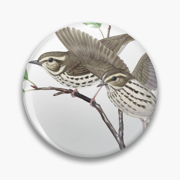 Item preview, Northern Waterthrush (Parkesia noveboracensis) designed and sold by JadaFitch.