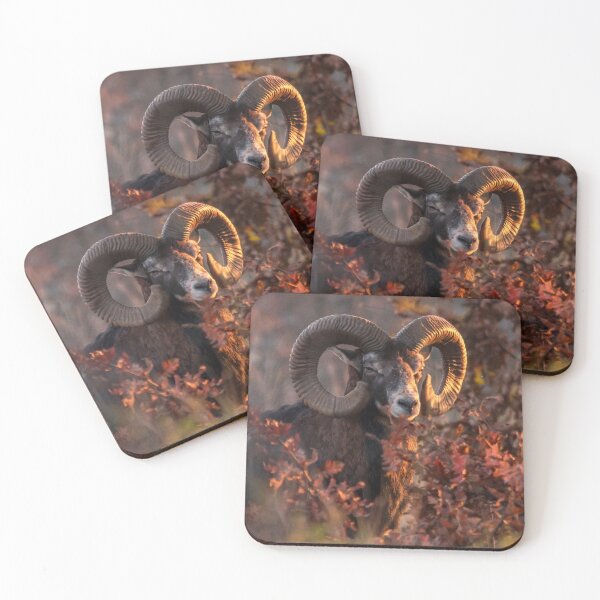 Item preview, Crowned by Golden Light designed and sold by gabormedve.