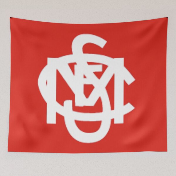 Item preview, 1922 SMFC South Melbourne Football Club  designed and sold by famousflies313.