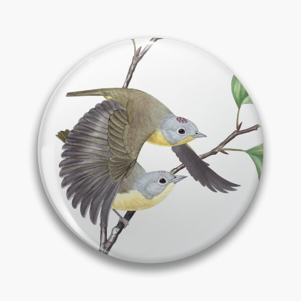 Item preview, Nashville Warbler (Leiothlypis ruficapilla) designed and sold by JadaFitch.