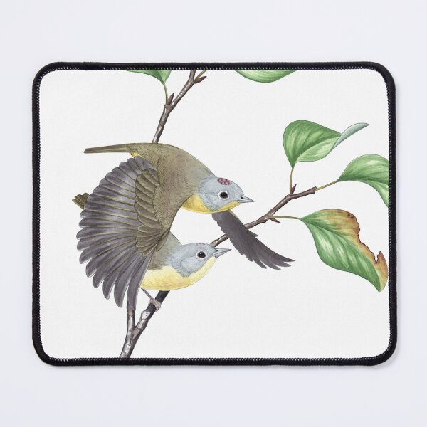 Item preview, Nashville Warbler (Leiothlypis ruficapilla) designed and sold by JadaFitch.