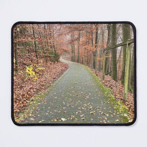 Item preview, Path through autumn forest designed and sold by Kistitka.