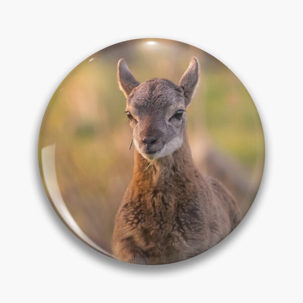 Item preview, Young Mouflon on the Move designed and sold by gabormedve.
