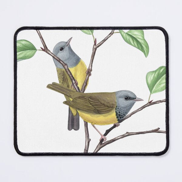 Item preview, Mourning Warbler (Geothlypis philadelphia) designed and sold by JadaFitch.