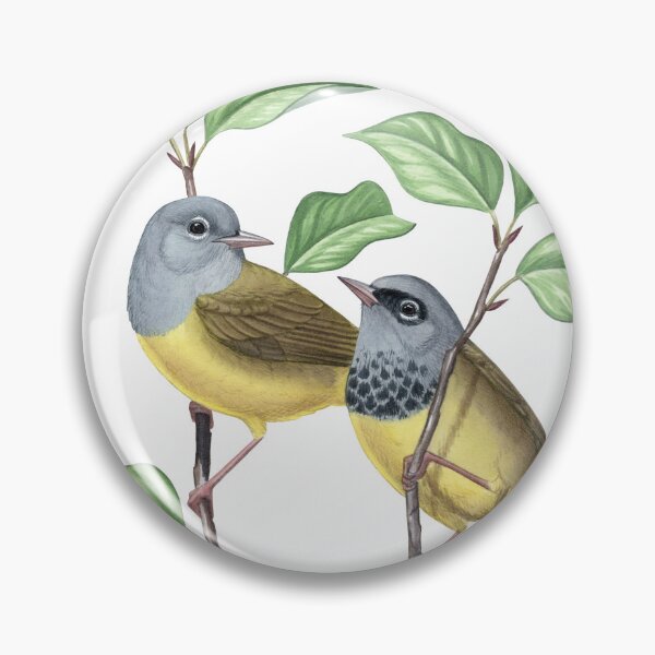 Item preview, MacGillivray's Warbler (Geothlypis tolmiei) designed and sold by JadaFitch.