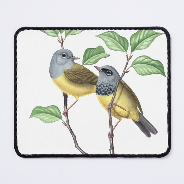 Item preview, MacGillivray's Warbler (Geothlypis tolmiei) designed and sold by JadaFitch.