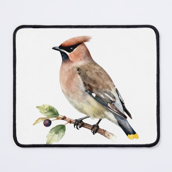 Item preview, Waxwing Watercolor Illustration | Elegant Waxwing Songbird Nature Artwork designed and sold by Rood Art Studio.