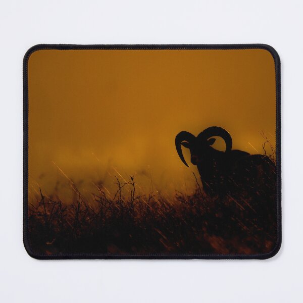 Item preview, Mouflon Silhouette at Golden Dusk designed and sold by gabormedve.