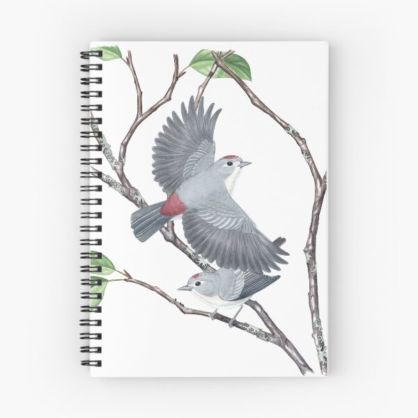 Item preview, Lucy's Warbler (Leiothlypis luciae) designed and sold by JadaFitch.