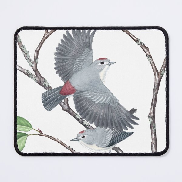 Item preview, Lucy's Warbler (Leiothlypis luciae) designed and sold by JadaFitch.