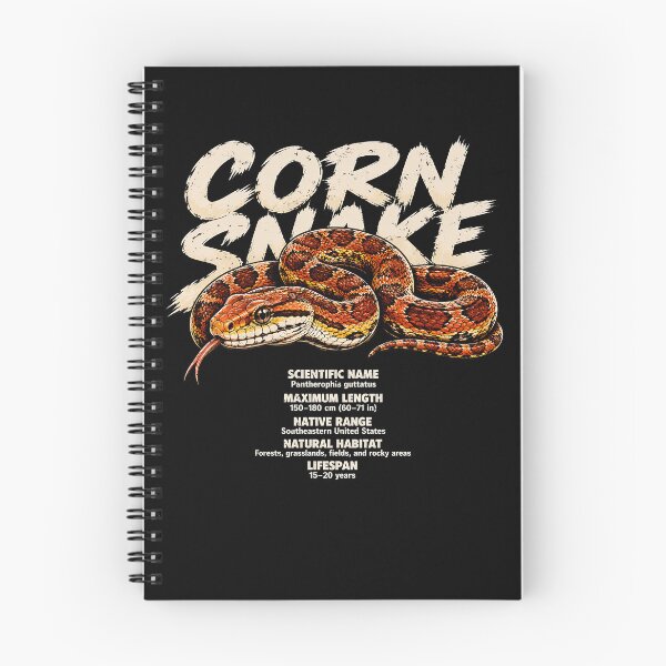 Item preview, Corn Snake Illustration with Scientific Details designed and sold by rafaeltto.