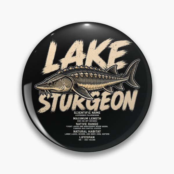 Item preview, Vintage lake sturgeon illustration with detailed info designed and sold by rafaeltto.