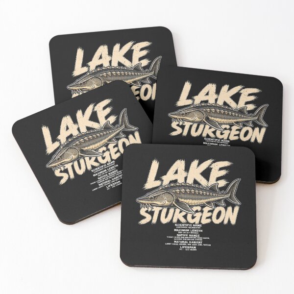 Item preview, Vintage lake sturgeon illustration with detailed info designed and sold by rafaeltto.