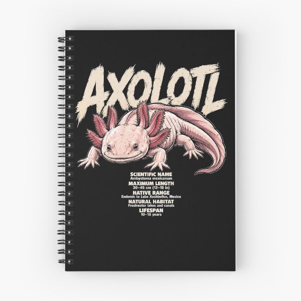 Item preview, Cute axolotl illustration with fun facts designed and sold by rafaeltto.