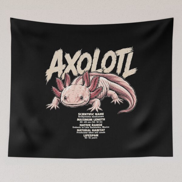 Item preview, Cute axolotl illustration with fun facts designed and sold by rafaeltto.