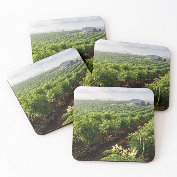 Item preview, Moringa Farming Business Wall Art | Commercial Agriculture Office Decor designed and sold by hutofdesigns.