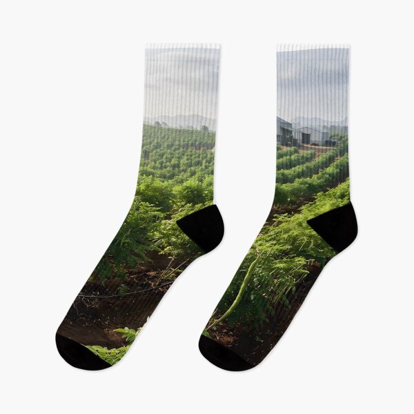 Item preview, Moringa Farming Business Wall Art | Commercial Agriculture Office Decor designed and sold by hutofdesigns.