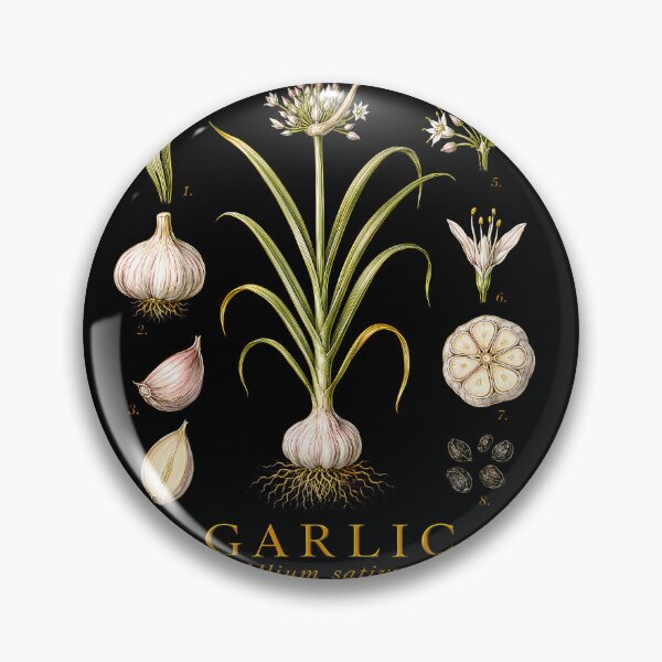 Item preview, Garlic Allium Sativum designed and sold by Strow--bary.