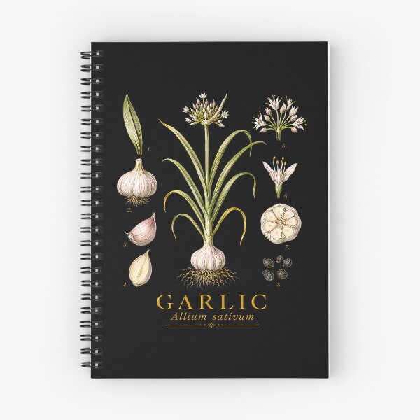 Item preview, Garlic Allium Sativum designed and sold by Strow--bary.