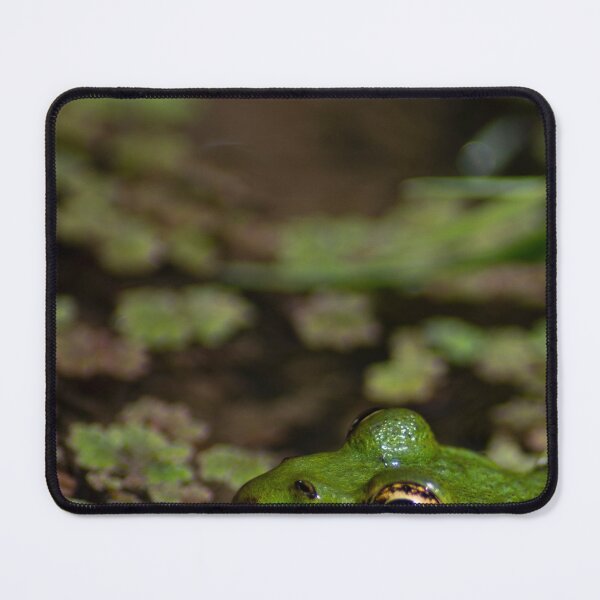 Item preview, Edible Frog (Pelophylax esculentus) submerged in a pond.  designed and sold by VinePhotog.
