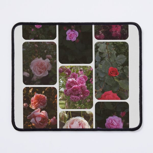 Item preview, Stay Present Pink Roses Botanical Moodboard Poster designed and sold by Nature Moments.