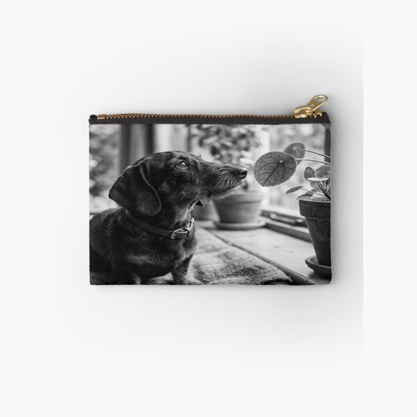 Item preview, Curious dachshund studying a plant's leaf designed and sold by Solomon-Ent-144.