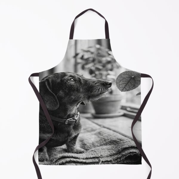 Item preview, Curious dachshund studying a plant's leaf designed and sold by Solomon-Ent-144.