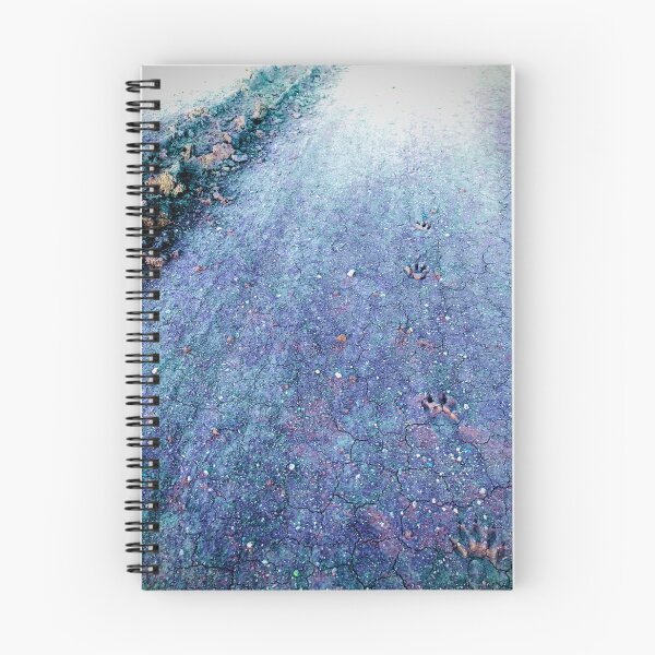 Item preview, A Walk in Arizona  designed and sold by meganlaub1.