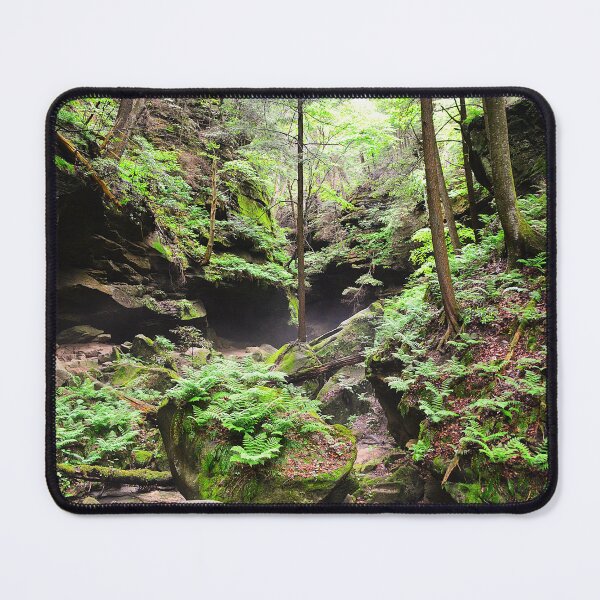 Item preview, Conkle's Hollow State Nature Preserve designed and sold by LisaWootenPhoto.