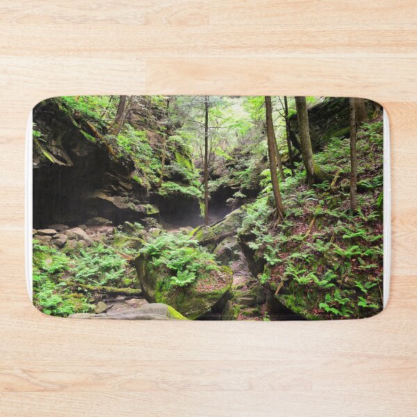 Item preview, Conkle's Hollow State Nature Preserve designed and sold by LisaWootenPhoto.