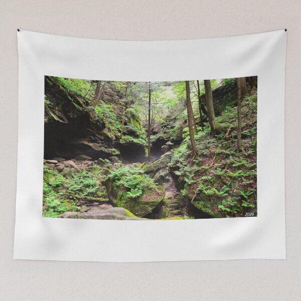Item preview, Conkle's Hollow State Nature Preserve designed and sold by LisaWootenPhoto.