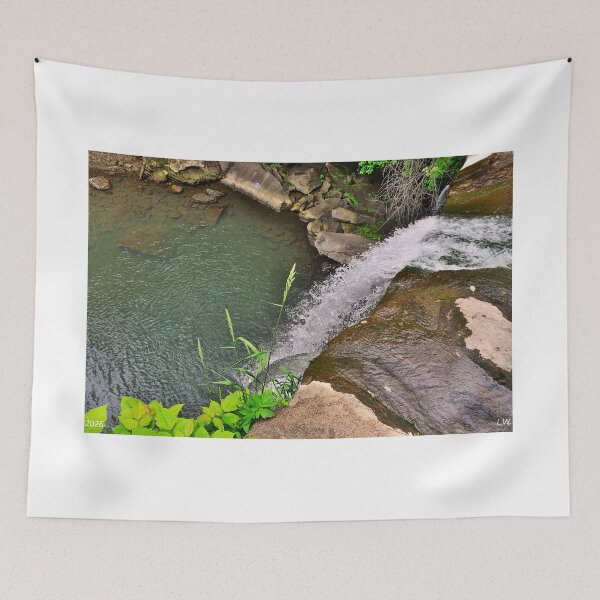 Item preview, Looking Down Buttermilk FallsHomewood Falls Beaver PA designed and sold by LisaWootenPhoto.