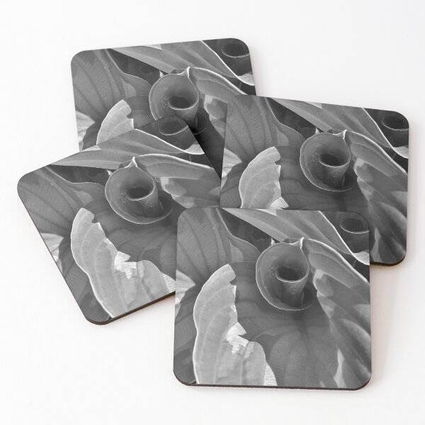 Item preview, Uncoiling Hostas designed and sold by Kathilee.