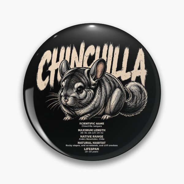 Item preview, Cute chinchilla illustration with fun facts designed and sold by rafaeltto.