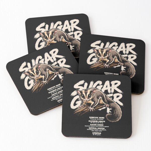 Item preview, Cute sugar glider illustration with fun facts designed and sold by rafaeltto.