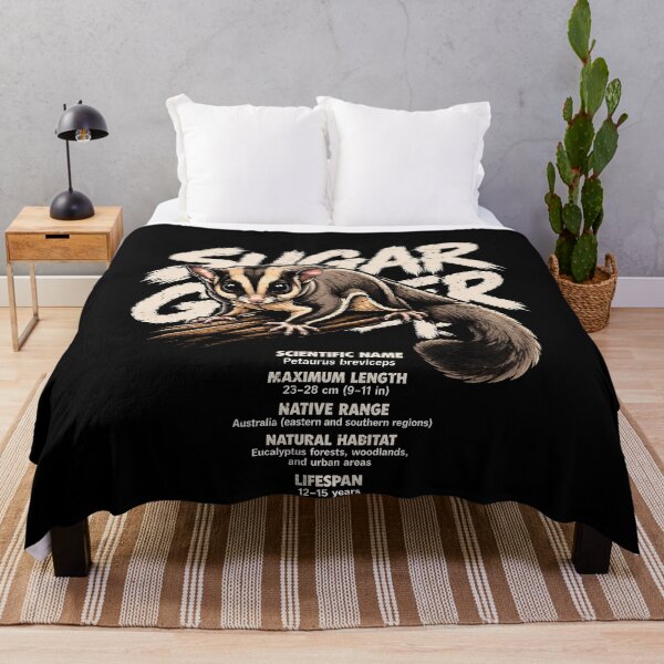 Item preview, Cute sugar glider illustration with fun facts designed and sold by rafaeltto.