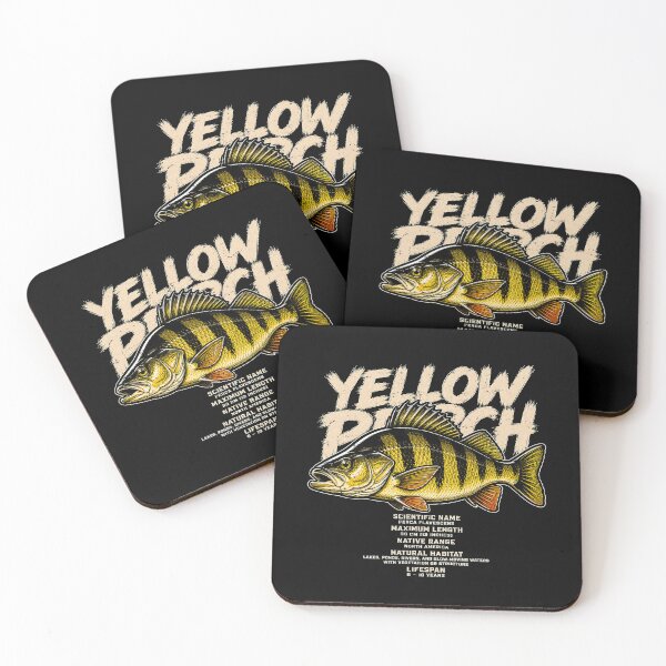 Item preview, Yellow perch fish illustration with scientific details designed and sold by rafaeltto.