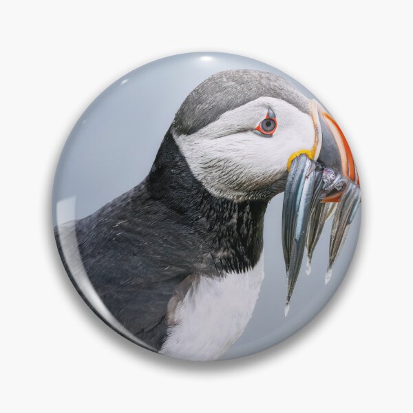 Item preview, Puffin with a Beak Full of Fish designed and sold by PhotoArt by Joan Carroll.