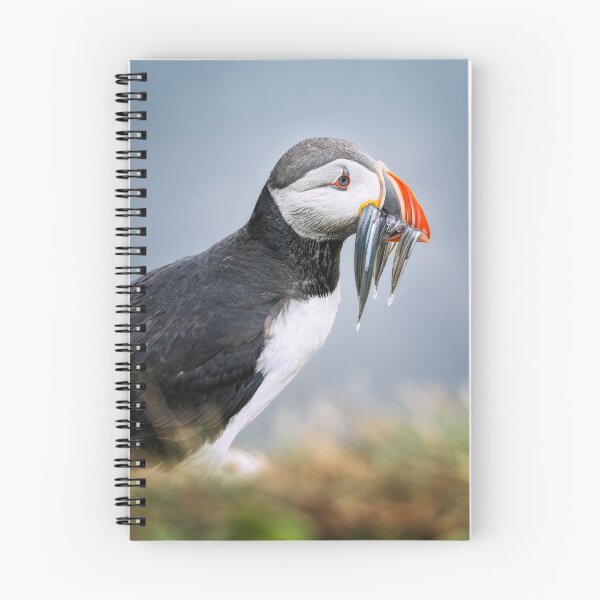 Item preview, Puffin with a Beak Full of Fish designed and sold by PhotoArt by Joan Carroll.