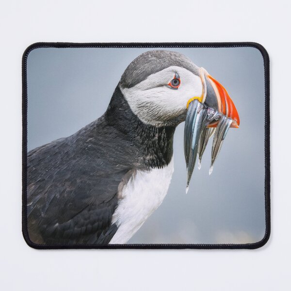 Item preview, Puffin with a Beak Full of Fish designed and sold by PhotoArt by Joan Carroll.