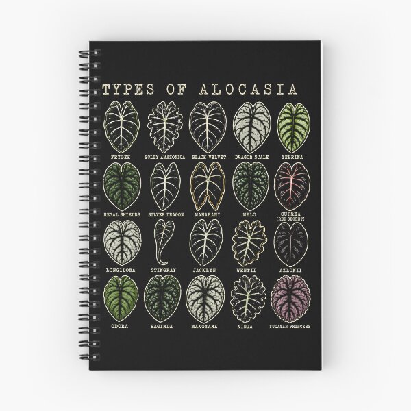 Item preview, Types of Alocasia Leaf Art for Plant Lovers designed and sold by rafaeltto.