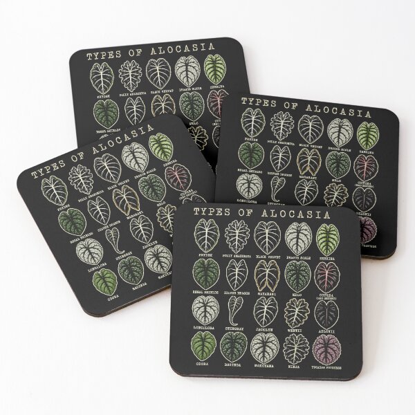 Item preview, Types of Alocasia Leaf Art for Plant Lovers designed and sold by rafaeltto.